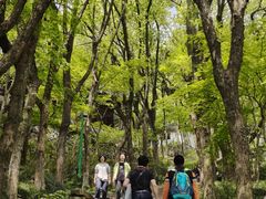-宁波市保国寺古建筑博物馆