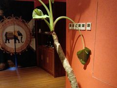 -新泰遇SPA·即派·青春颜艺(维也纳江西大厦店)