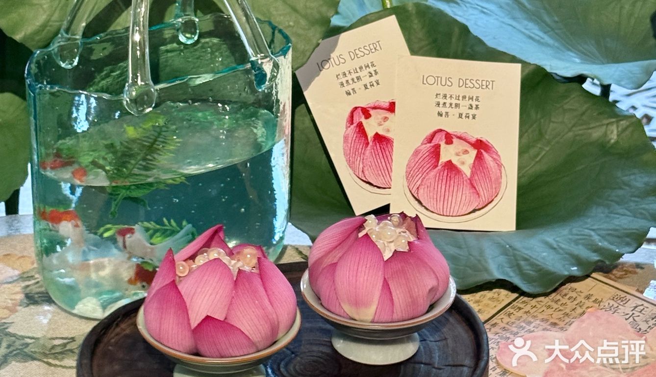 🔥天津五大道！夏日限定荷花下午茶美到窒息！
