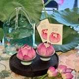 🔥天津五大道！夏日限定荷花下午茶美到窒息！
