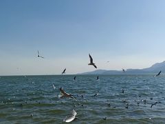 -滇池海埂公园