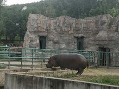 -哈尔滨北方森林动物园