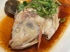 清蒸东星斑-徐记海鲜·家宴(南油永新汇店)