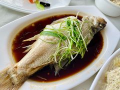 -云中小雅