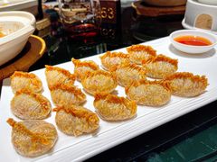 脆皮饺子-炳胜品味(海印总店)