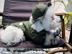 -J Create城市露营咖啡·简餐·宠物(上海动物园店)