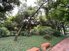 -成都市活水公园