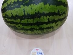 -庞各庄翠芳园西瓜蔬菜基地采摘园