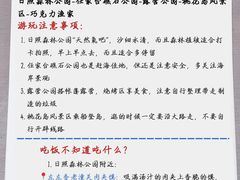 -日照海滨国家森林公园