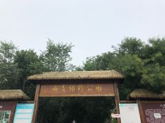 -西青郊野公园