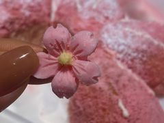 -奈雪的茶(红谷滩万达广场店)