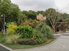 -昆山城市生态森林公园