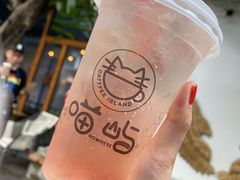 玫瑰荔枝气泡水-喵屿·大理花园猫咖