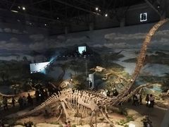 -自贡恐龙博物馆