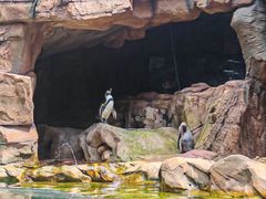 -长鹿旅游休博园