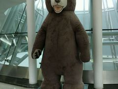 -济州岛泰迪熊博物馆