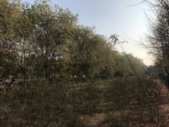 -汉景帝阳陵博物院