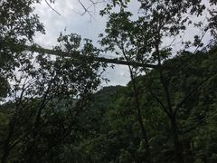 -遂昌金矿国家矿山公园