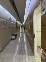-上海首尔丽格医疗美容医院