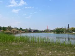 -桂溪生态公园
