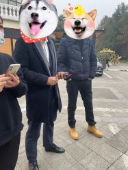 -伊莎贝拉婚礼庄园(顾村店)