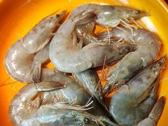 -真熙家牛排烤肉无限续(百脑汇店)