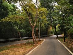 -青龙山国家森林公园
