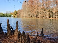 -上海海湾国家森林公园