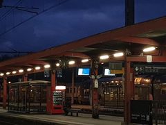 -戴高乐机场火车站