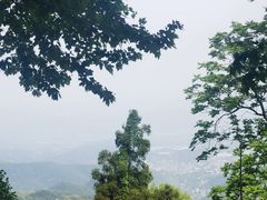 -莫干山风景区