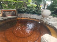 -碧水湾温泉