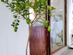 -Kekimatata 生日蛋糕·烘焙教学