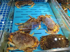 -必点海鲜·鲅鱼水饺(鞍山西道店)
