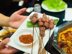 -蜀九香火锅(九眼桥店)