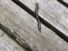 -宁波五龙潭景区