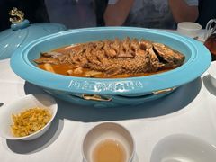 -阿五黄河大鲤鱼(英协路店)