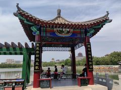 -莲花池公园
