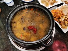 -蘑统田下·野生菌火锅