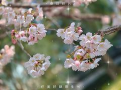 -静安雕塑公园