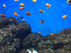 -福州罗源湾海洋世界旅游区