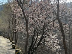 -封龙山风景区
