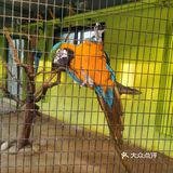 大兴野生动物园半日游