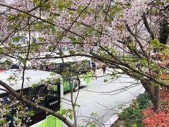 -上海南浦大桥长途旅游客运站