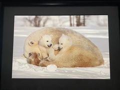 -罗红摄影艺术馆