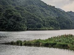 -广州市石门国家森林公园