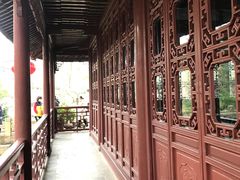 -上海醉白池公园