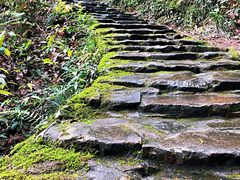 -花岩国家森林公园