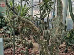 -郑州植物园