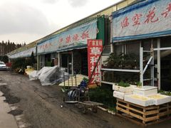 -龙大花卉苗木市场