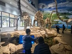 -自贡恐龙博物馆